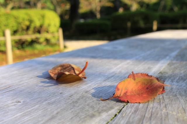 母のような親になりたくないと思ったが 子供に同じ事をしている 世代連鎖